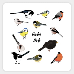 Garden birds Magnet